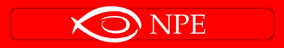 Logo casa editrice Nicola Pesce Editore