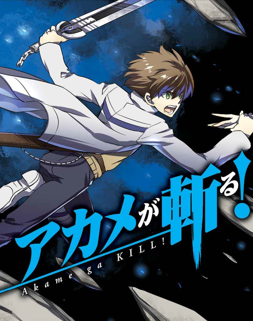 Copertina fumetto AKAME GA KILL! vol. 11