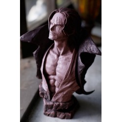 ONE PIECE ROUGH EDGES SHANKS B