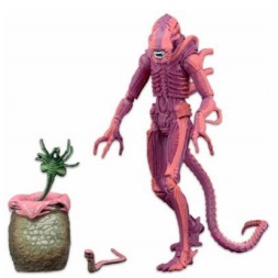 ALIENS AF XENOMORPH ARCADE APPEARAN