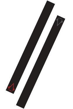 Assassin's Creed IV SCARF LOGO